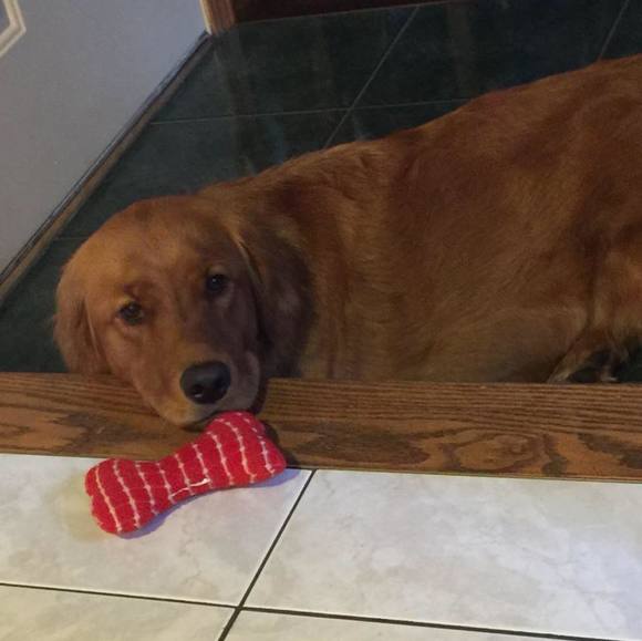 Meet your Posher, Roxane - Picture 1 of 1